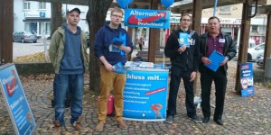JA im Wahlkampf: Infostände in Rastatt, Korb und Nürtingen
