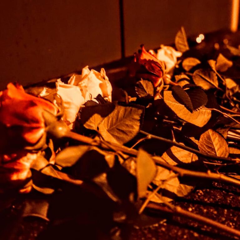 JA legt Blumen für Opfer des islamistischen Anschlags in Wien nieder